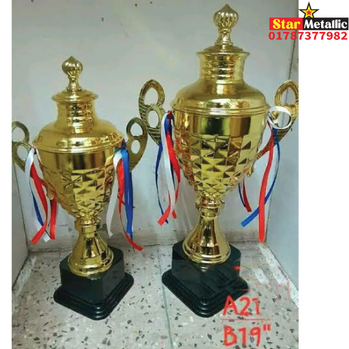 Football cricket trophy