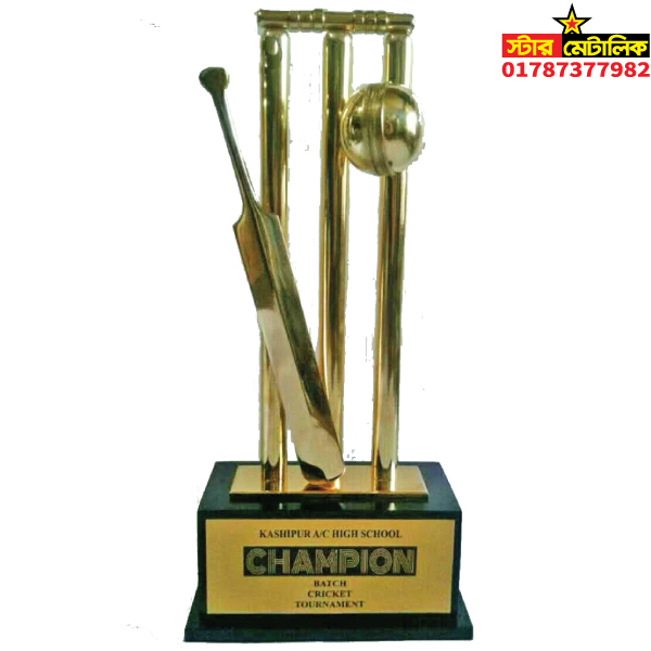 Metal brass cricket trophy