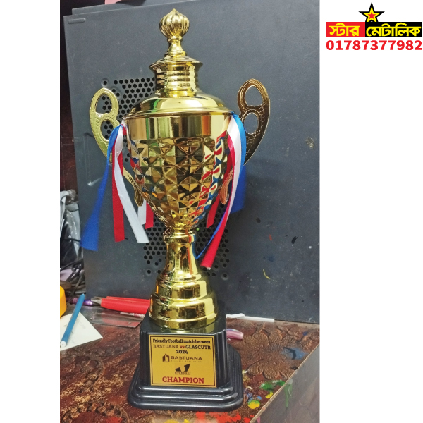 Football cricket metal trophy