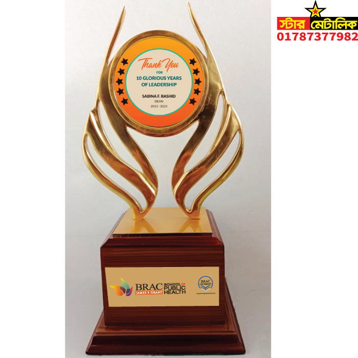 Metal brass award trophy