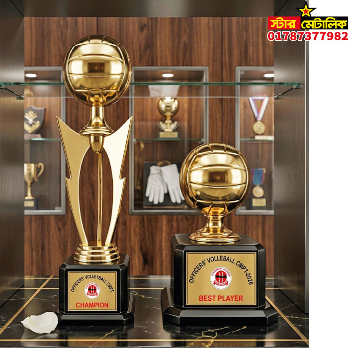 Metal brass daly volleyball trophy